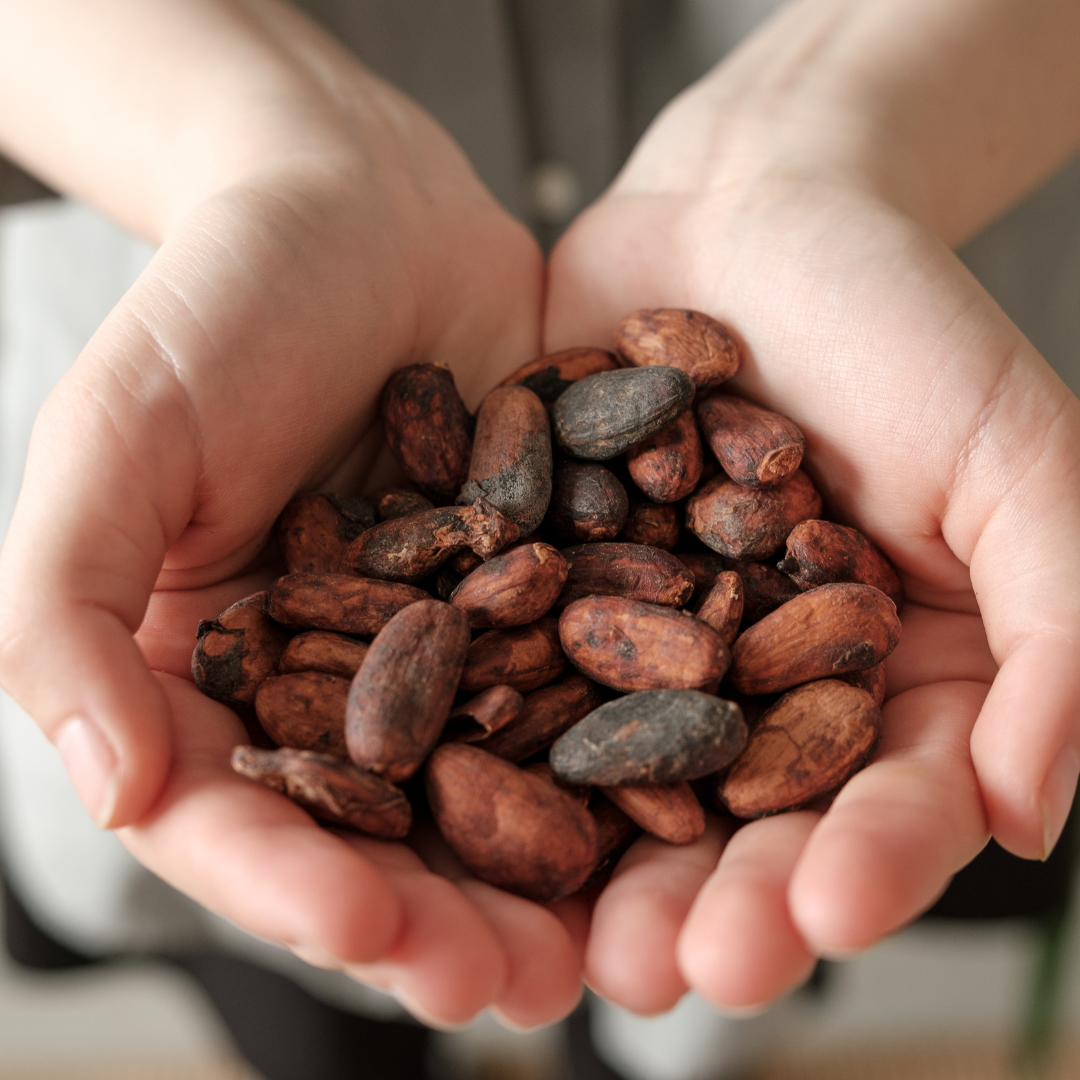 Kakaoverkostung mit Meditation